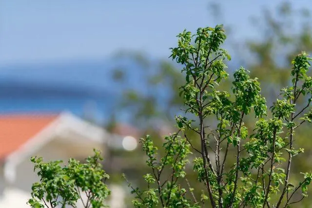Apartment Leopold Kastela